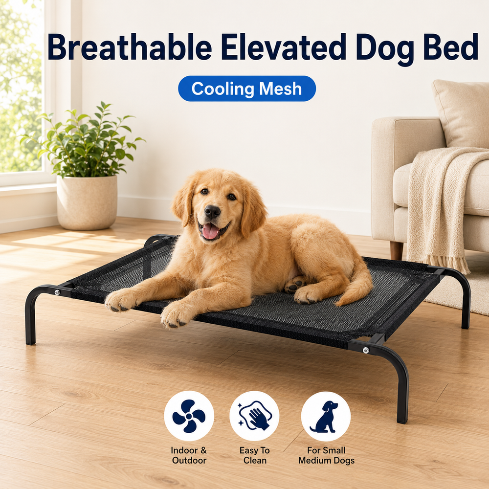 Elevated Mesh Dog Bed with Metal Frame, Small & Medium Dogs, Indoor Outdoor